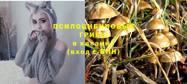 спайс Аркадак